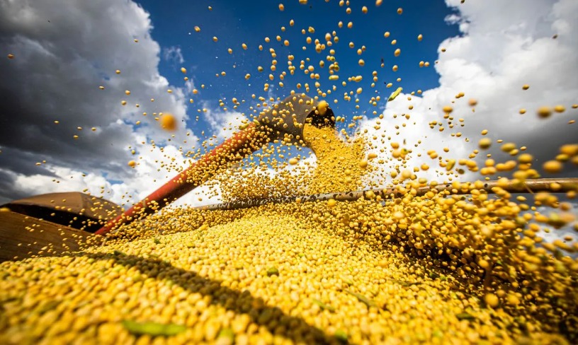 Mais uma vez o agronegócio será a força motriz da economia